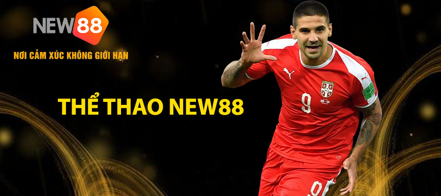 Thể Thao NEW88